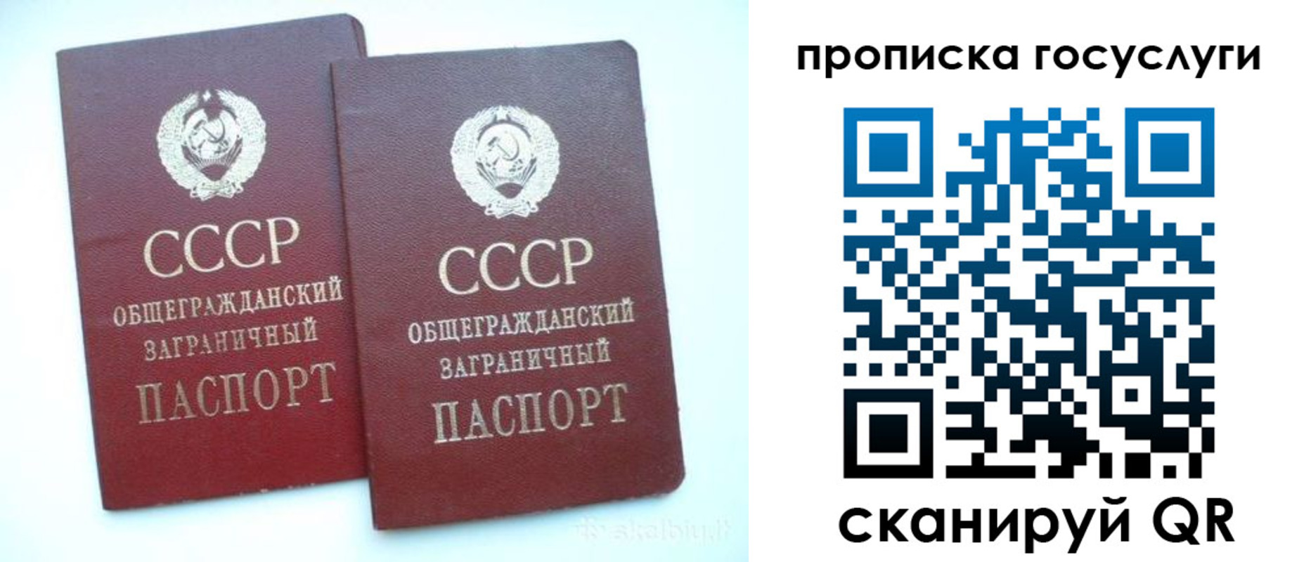прописка в квартире в Коврове